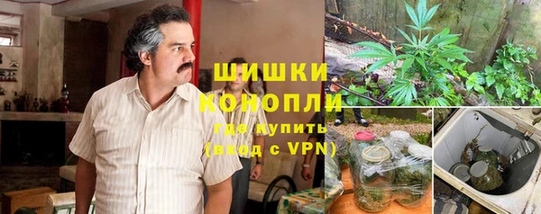 spice Бугульма